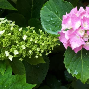 20190623_151650.jpg