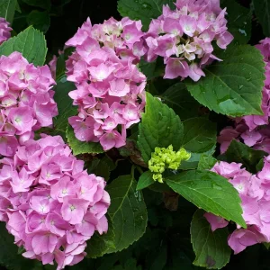 20190623_151627.jpg