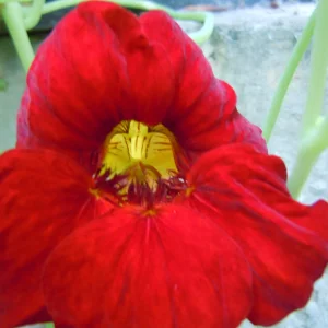 DSCN9712.JPG