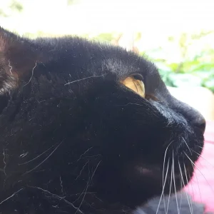20190624_144949.jpg