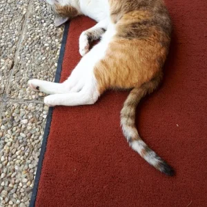 20190624_111914.jpg