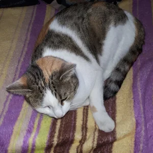 20190325_144857.jpg