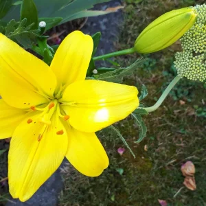 20190626_090341.jpg