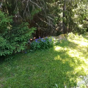 IMG_20190625_155902.jpg