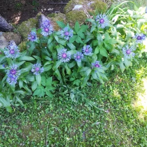 IMG_20190625_160150.jpg