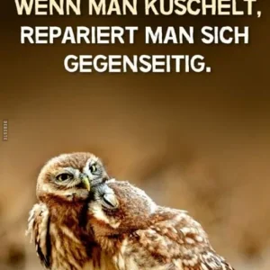 999 eulen kuscheln.jpg