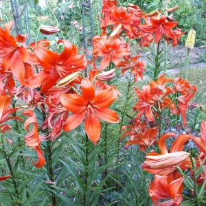 20190627_070112.jpg
