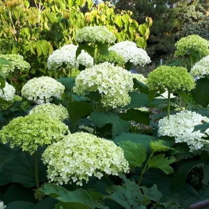20190627_070028.jpg