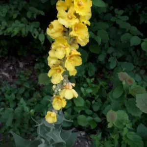 20190627_062921.jpg