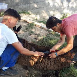 20190626_173405.jpg