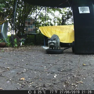 DSCF0049.JPG