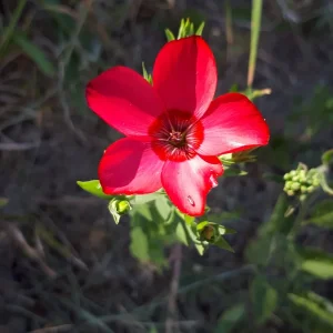 20190630_155946.jpg