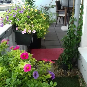 20190708_125550_resized.jpg