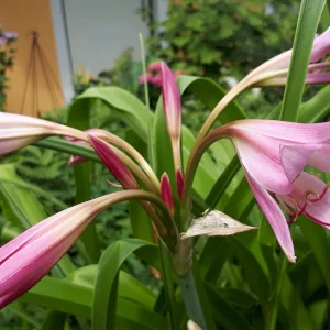 20190709_105427.jpg