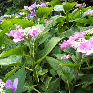 20190709_105346.jpg
