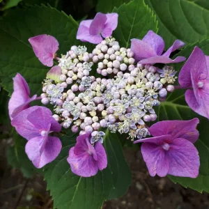 20190709_105338.jpg
