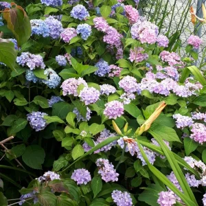 20190709_104532.jpg