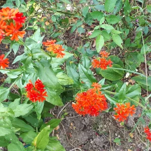 20190709_104512.jpg