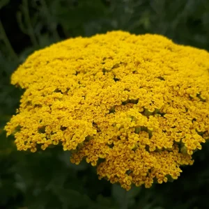 20190709_104450.jpg