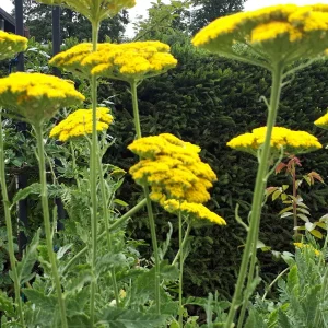 20190709_104445.jpg