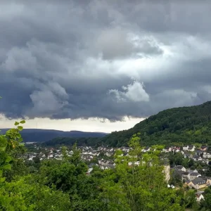 W-liesch.JPG