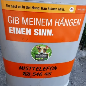 20190714_094645.jpg