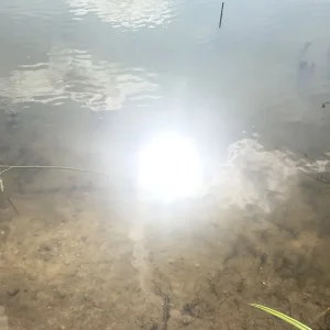 0647AF92-3D77-483B-B082-76C2CB2F5248.jpeg