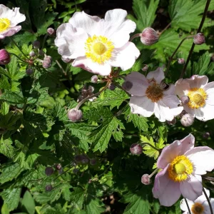 20190717_122433.jpg