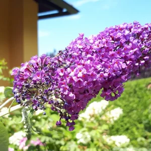 20190717_122424.jpg