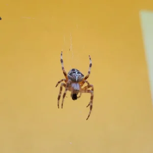20190725_142013.jpg