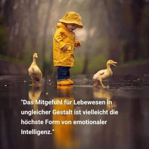 FB_IMG_1564553608649.jpg