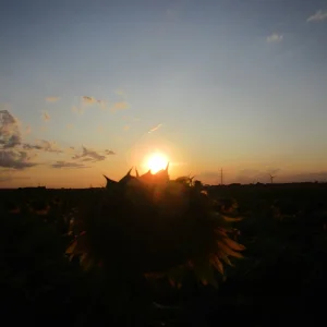 IMG_2602.JPG