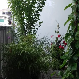 20190802_102829.jpg