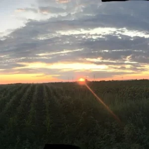 mms_20190804_204935.jpg