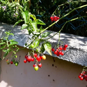 20190808_104901.jpg