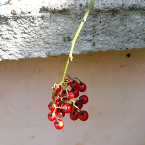 20190808_104926.jpg