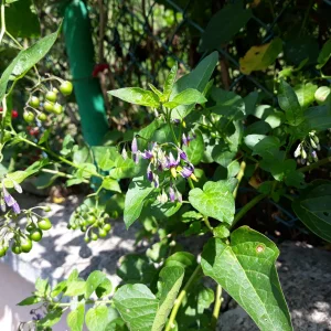 20190808_105018.jpg