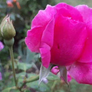 20190810_181412.jpg