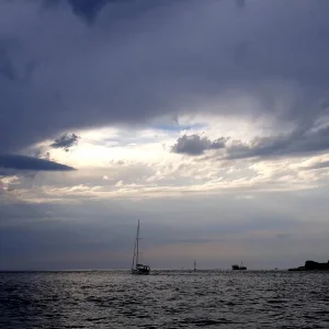 20190814_030132.jpg