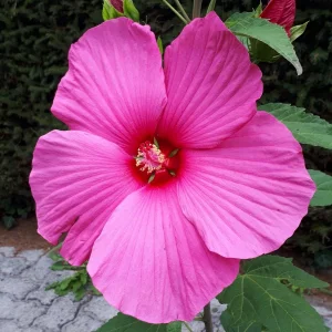 20190817_165455.jpg