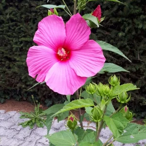 20190817_165447.jpg