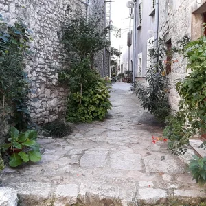 20190816_173650 Blumen Bale Valle.jpg