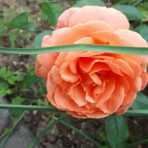 20190823_105513.jpg
