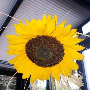 20190825_075625.jpg