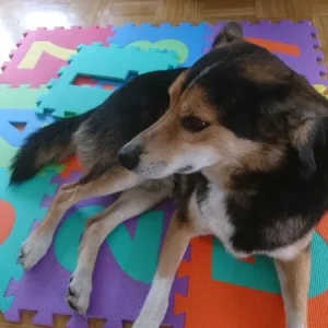 upload_2019-8-25_15-18-37.jpeg