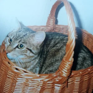 20190825_164529.jpg