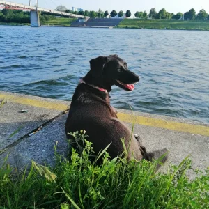 IMG-20190610-WA0003.jpg