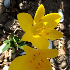 20190905_152214.jpg