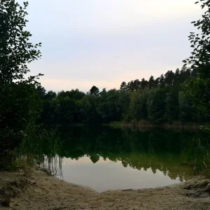 IMG_20190908_230010.jpg