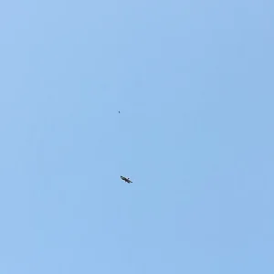 IMG_20190911_145018.jpg